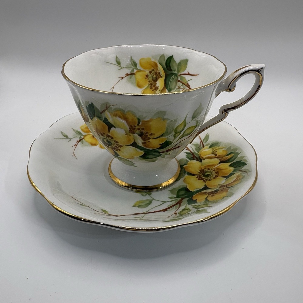 Vintage Royal Standard Wild Rose Fine Bone China Tea Cup And Saucer